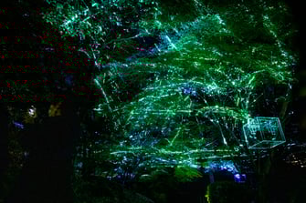 ~景KEI~二之丸庭園特別観覧 _PERIMETRON(ペリメトロン)四之景