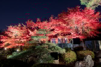 ~景KEI~二之丸庭園特別観覧 _PERIMETRON(ペリメトロン)二之景