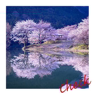 多くの人の心を一瞬にして奪うほどの美しさを持つ桜。 桜は日本のシンボルであり、国内外問わず人気を集める花です。 春の訪れを感じさせる桜を見て癒されませんか。 東海エリアのイチオシお花見スポットを紹介します。