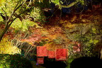 ~景KEI~二之丸庭園特別観覧 _PERIMETRON(ペリメトロン)一之景