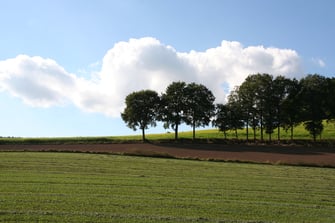 Wiesen und Felder (Foto: Götte)