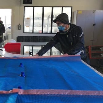 préparation de l'infusion