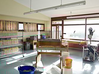 Die Hostien werden von Hand gestanzt und sortiert