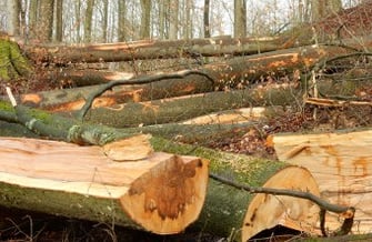 Foto: Dr. Christian Stierstorfer