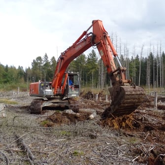 Manchmal braucht es auch Unterstützung durch schweres Gerät, Foto: M. Werneyer