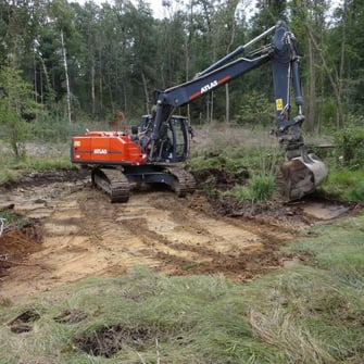 Die Anlage und der Erhalt besonnter Kleingewässer ist für den Laubfrosch sehr wichtig. Foto: Dr. M. Werneyer