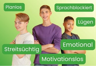 Judendliche die streitsüchtig, emotional, motivationslos oder sprachblockiert sind finden Hilfe im Coaching mit der Evolutionspädagogik. Die Lerninsel findest du in Hinwil-Hadlikon.