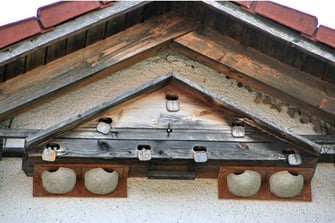 Mauerseglernistkasten und Schwalbennistplaetze (Foto: Richard Straub, LBV-Bildarchiv)