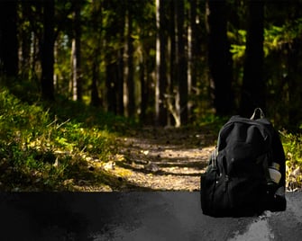 Espacios naturales por la provincia de Segovia