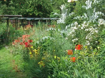 Blühende Gartenhecke - LBV-Bildarchiv Foto: Thomas Staab 