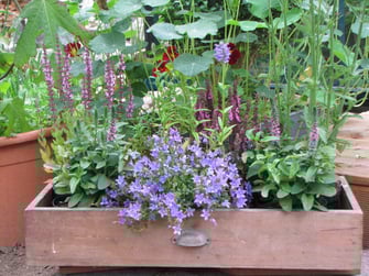 Blumenkasten für den Balkon - LBV-Bildarchiv Foto: Birgit Helbig