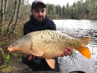 carpe écaillée des Agadis