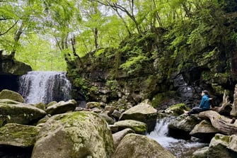 森の渓谷で一人、内省の時間を過ごす。自然に身をゆだね、五感を働かせて、自己理解とウェルビーイングを育む。