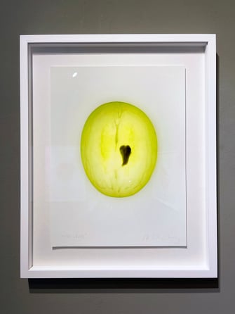 Künstler der Metropolregion im rfzk laurentiu feller Nürnberg