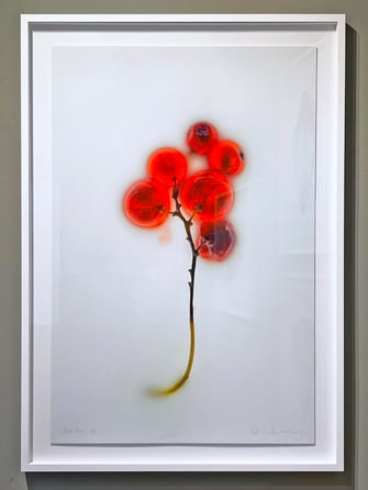 Achim Weinberg im rfzk.feller in Nürnberg