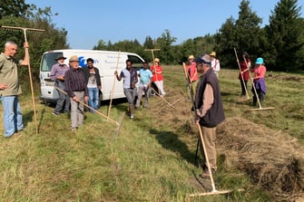 Arbeitseinsatz Grundstückpflege