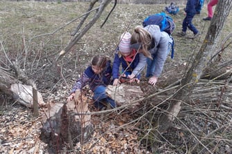 Kindergruppe im Landkreis Landsberg - Thema Biber