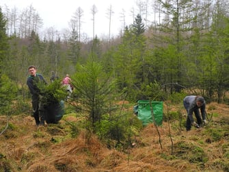 LBV-Aktive bei der Arbeit