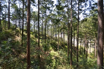 国産材丸テーブル