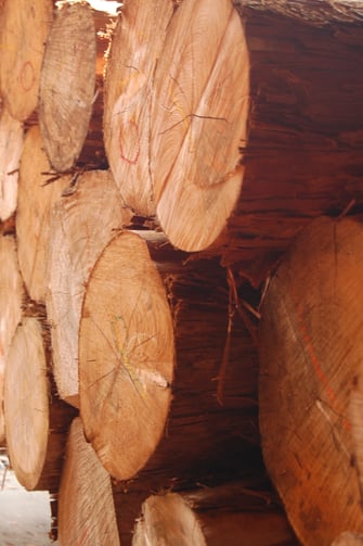 国産材丸テーブル