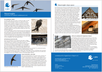 Das neue Design (Inhalt: KG Landsberg am Lech)