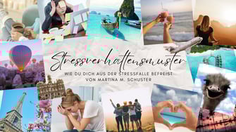 Es geht um die 5 wichtigsten Stressverhaltensmuster, Blogartikel von Martina M. Schuster
