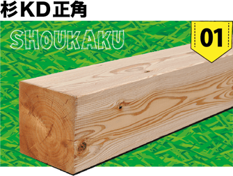 杉KD正角