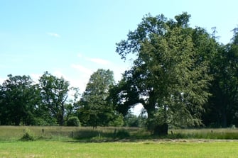 Foto: Bernrier Park (c) Franz Wimmer