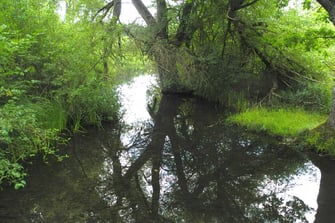 Foto: Oberer Inninger Bach (c) Horst Guckelsberger