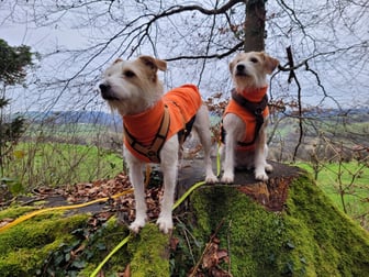Alva und Candis laden herzlich ein!