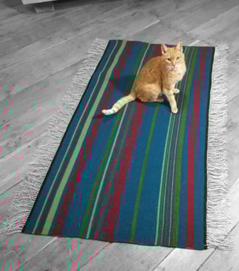 Un tapis - descend de lit au fond turquoise et rayures irrégulières vertes et rouges est posé sur le parquet en bois. Un chat roux est assis sur le tapis et nous regarde.  