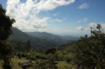 Jamaica Blue Mountains
