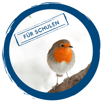 Schulstunde der Wintervögel