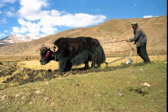 dieses Feld wurde gerade winterfest gemacht