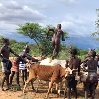 церемония Bull Jumping в Долине Омо
