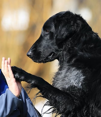 Foto Brigitte Kreisl