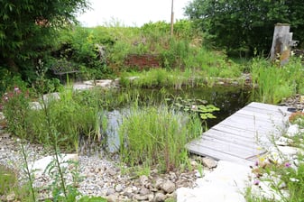 Gartenteich: Peter Bria (LBV Bildarchiv)