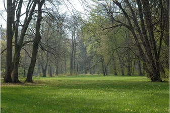 Park: Eberhard Pfeuffer (LBV Bildarchiv)