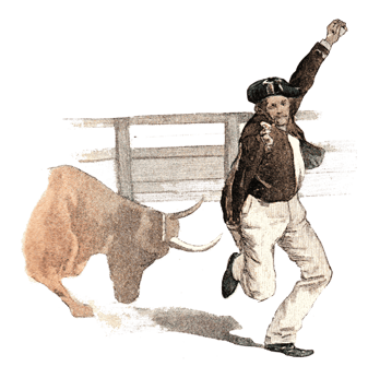 orthe, landes, aquitaine, peyrehorade, course landaise, ganaderia, sauteur, cordier, talanquère, vache