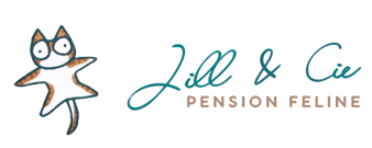 Faire garder son chat pendant les vacances dans une pension Feline