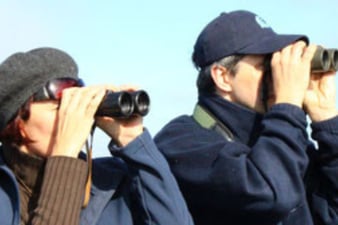 Vogelbeobachter: Peter Bria (LBV Bildarchiv)