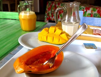 mein tägliches Frühstück in den Pousada´s