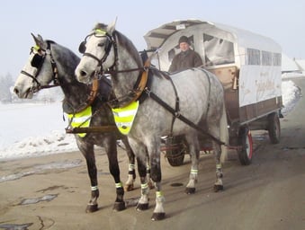 Ein gelungener Anlass: Ausfahrt mit dem Fonduewagen!