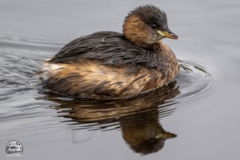 Wales mit dem Wohnmobil