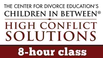  High Conflict Solutions, Parenting Plan