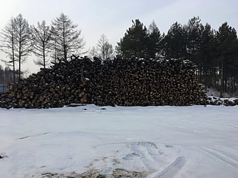 アンドウッド 無垢フローリング 新潟 調達記 andwood 単板貼りフローリング