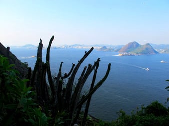 fantastische Aussicht hinüber nach Niteroi - auf halber Höhe zum Gipfel