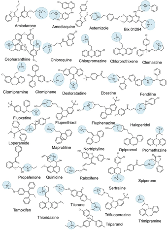 23 médicaments amphiphiles cationiques testés, dont l'hydroxychloroquine et l'azithromycine, pour lesquels la phospholipidose était corrélée de manière monotone avec l'efficacité antivirale. Aucun n'a d'activité in vivo. 