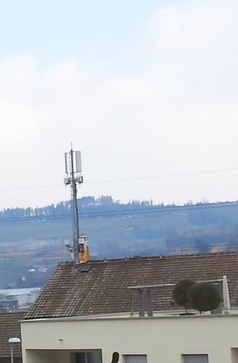 Photovoltaik Wechselrichter vitalisieren Wechselrichter Störfrequenzen Wechselrichter Elektrosmog Magnetit-Kristalle Skalare HRV Strahlung i-like Animal Hund Bernhardiner Kanarienvogel Hase Meerschwein Kosmetik Cosmetik Tabletten Medizin  Nebenwirkungen M