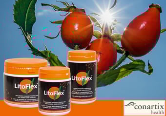 LitoFlex® original dänisch Hagenbuttenpulver